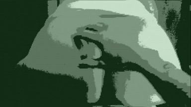 Night Vision POV